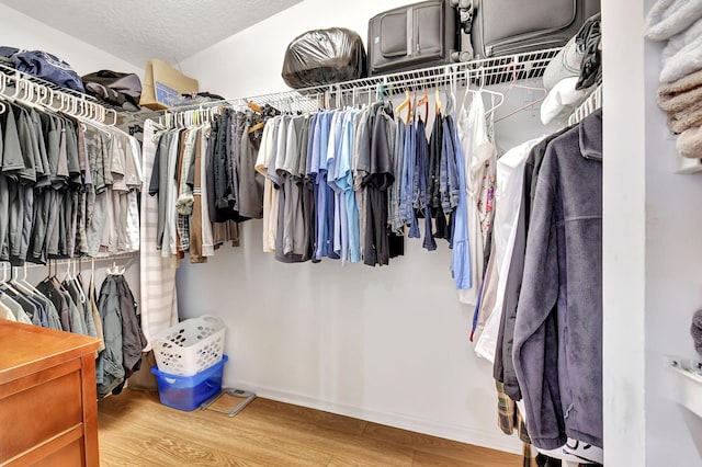 spacious closet featuring wood finished floors