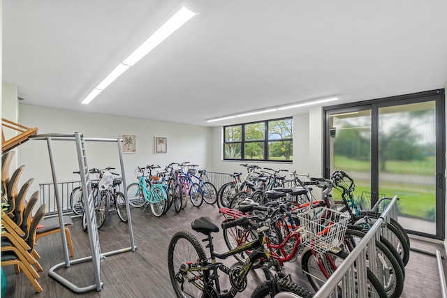 garage with bike storage