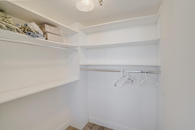 walk in closet featuring wood finished floors