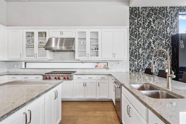6950 NW 25th Way, Boca Raton, FL 33496 - kitchen featuring extractor fan, a sink, appliances with stainless steel finishes, white cabinets, and light wood-style floors