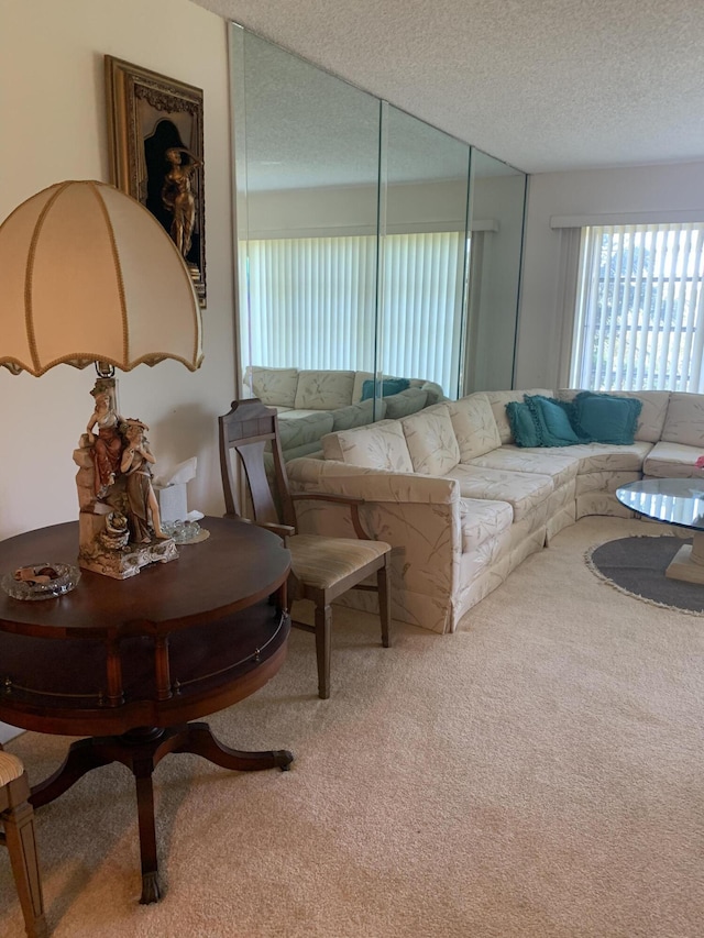 carpeted living area featuring a textured ceiling
