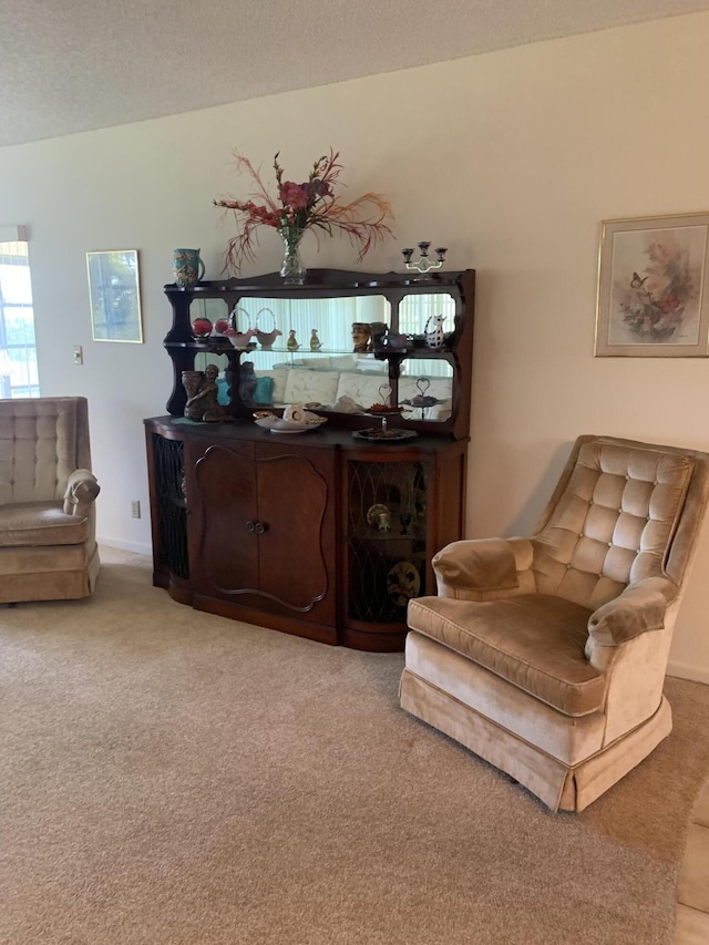 sitting room with carpet, a textured ceiling, and baseboards