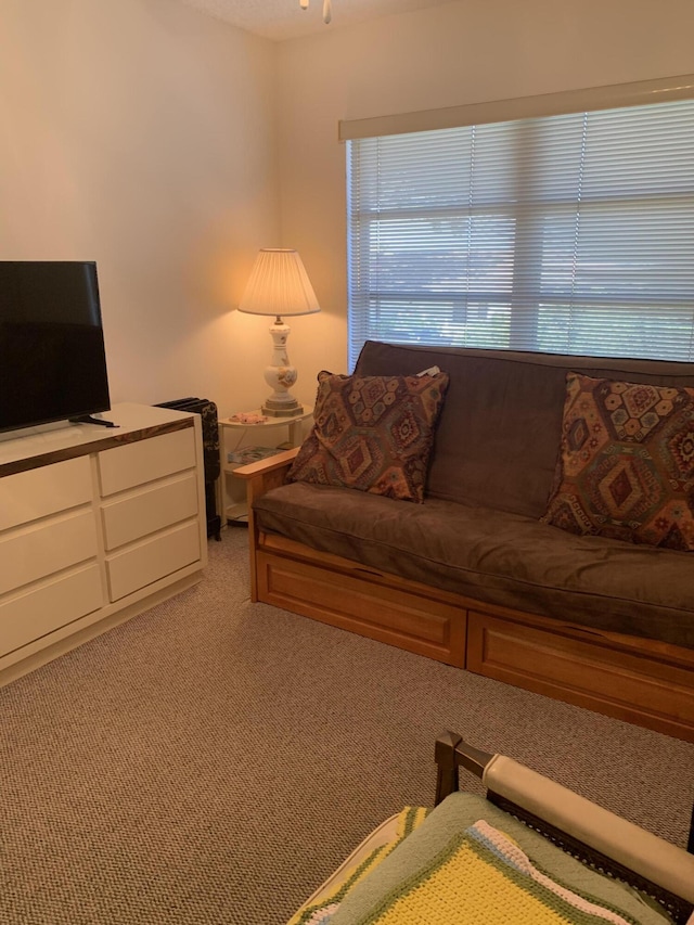 living area featuring light carpet