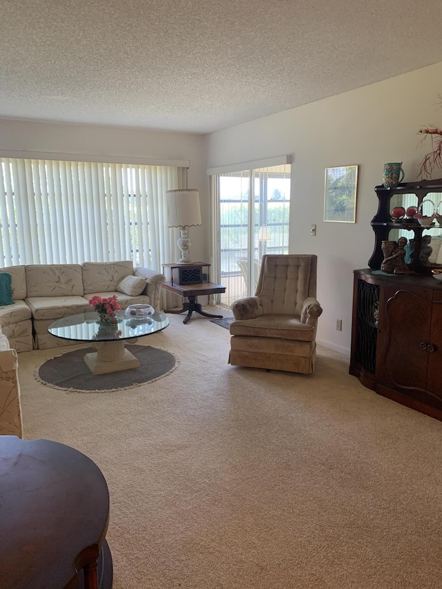 carpeted living area with a textured ceiling