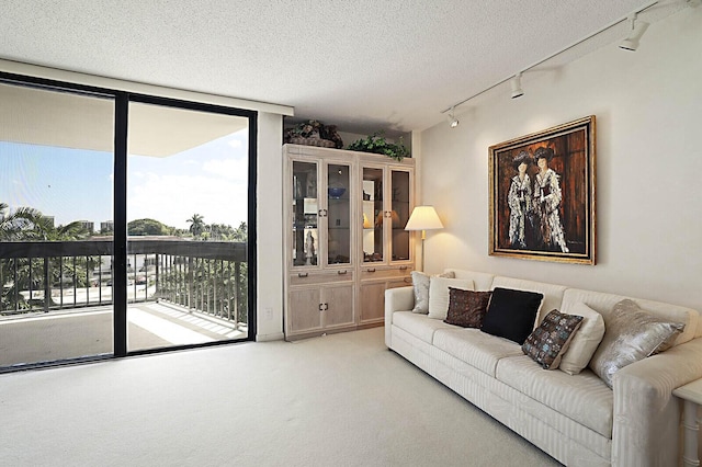 living area with plenty of natural light, rail lighting, floor to ceiling windows, and light carpet