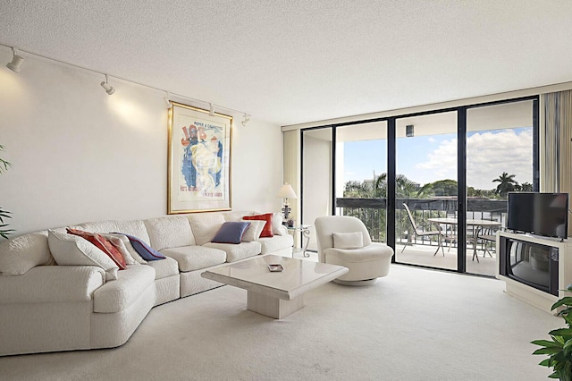 carpeted living room with a textured ceiling, track lighting, and expansive windows