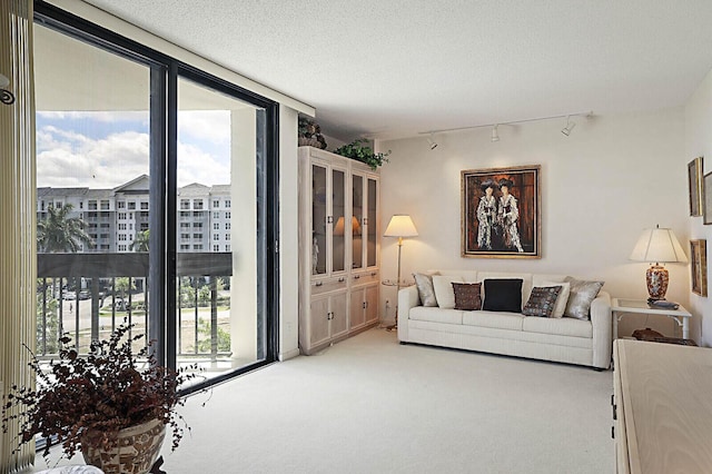 living area with carpet floors, a textured ceiling, and rail lighting