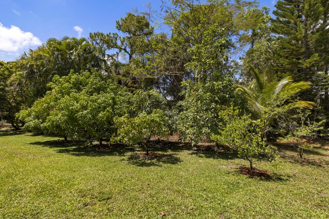 view of grassy yard