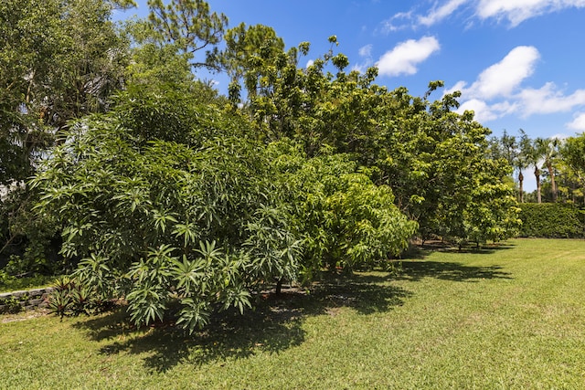 view of grassy yard