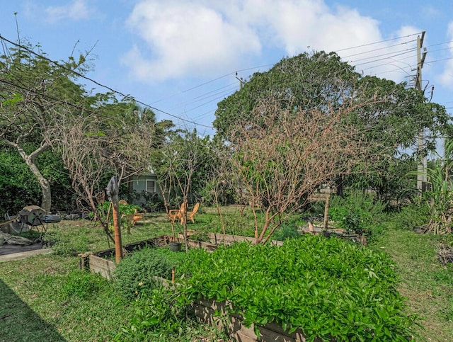 923 N H St, Lake Worth Beach, FL 33460 - view of yard with a vegetable garden