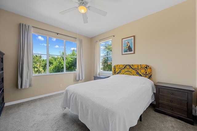 1317 Beacon Cir, Wellington, FL 33414 - bedroom featuring multiple windows, baseboards, carpet flooring, and ceiling fan
