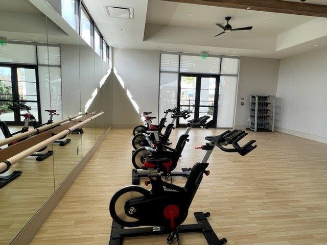 workout area featuring baseboards, plenty of natural light, wood finished floors, and a raised ceiling