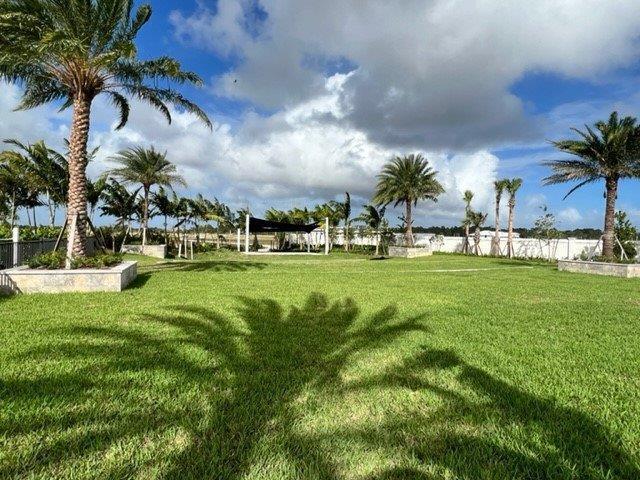 10148 Driftwood Way, Palm Beach Gardens, FL 33412 - view of green lawn