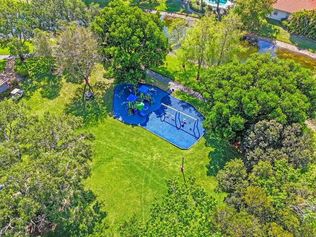 bird's eye view