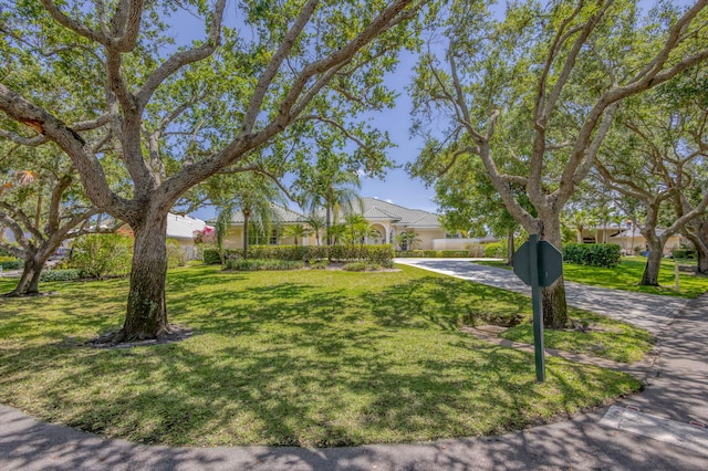 view of home's community with a yard