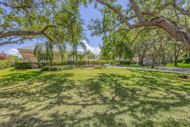 view of grassy yard