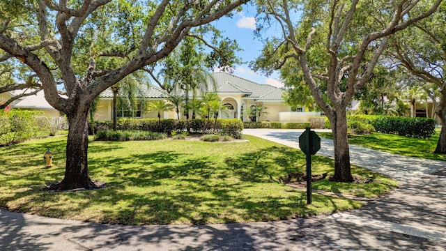 view of property hidden behind natural elements with driveway, stucco siding, a front lawn, and a tile roof