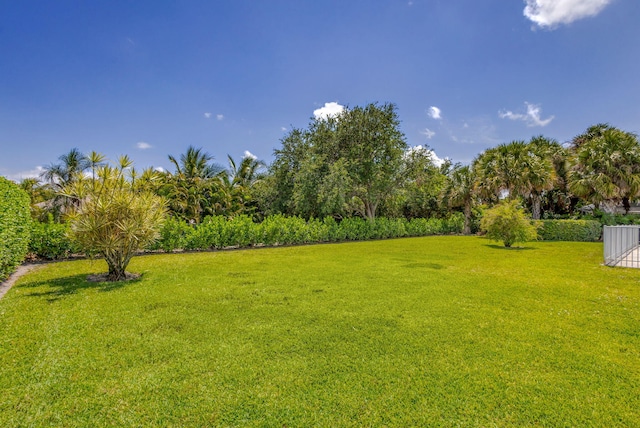 view of green lawn