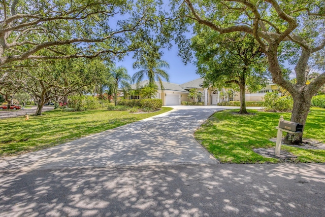 view of front facade with a front lawn, driveway, and stucco siding