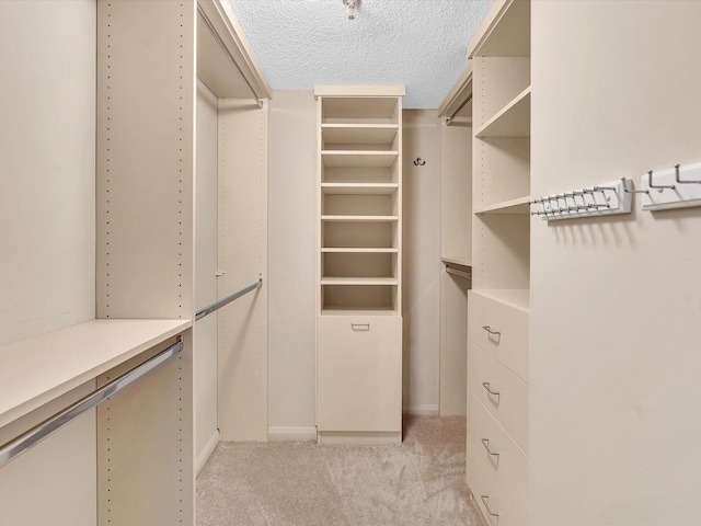 20110 Boca W Dr Unit 232, Boca Raton, FL 33434 - spacious closet featuring light colored carpet