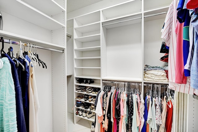 view of walk in closet