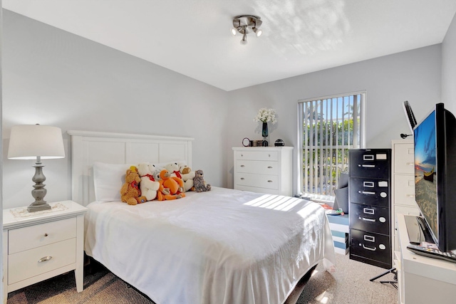 7026 Galleon Cv, Riviera Beach, FL 33418 - view of carpeted bedroom