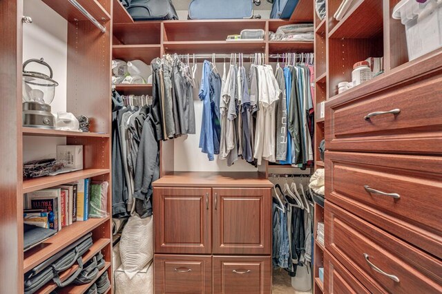 view of spacious closet