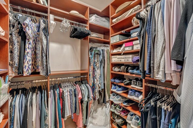 view of spacious closet