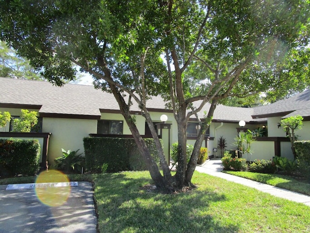 view of front of home featuring a front yard, stucco siding, and a shingled roof