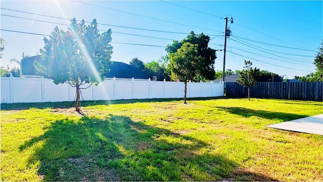 3020 SW Ann Arbor Rd, Port Saint Lucie, FL 34953 - view of yard