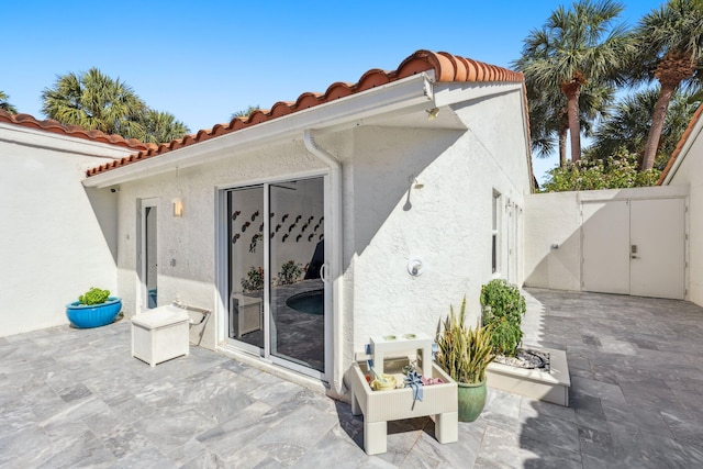 rear view of house featuring a patio area, stucco siding, and a tile roof