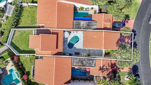 bird's eye view