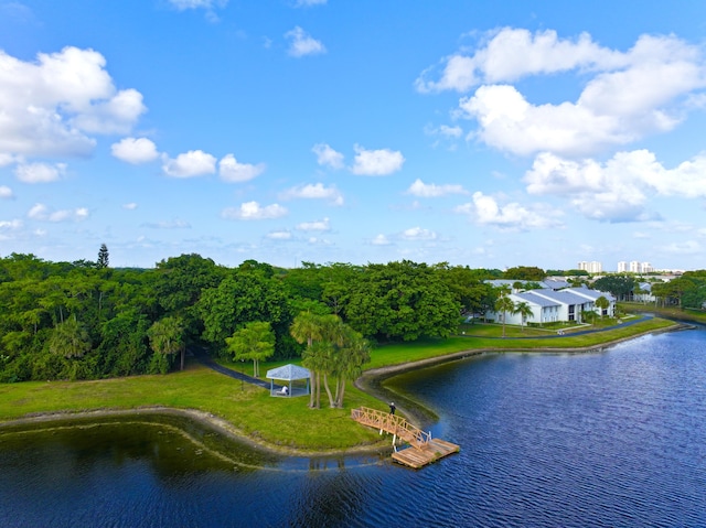 bird's eye view of a nearby body of water