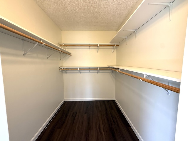 spacious closet featuring dark wood-type flooring