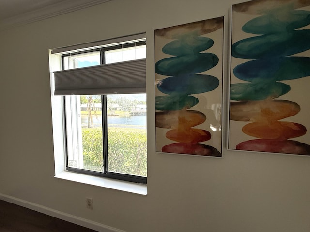 detailed view of ornamental molding, baseboards, and a water view