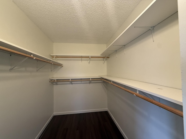 spacious closet with dark wood-style floors