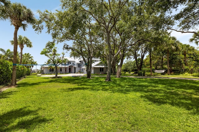 19100 SE County Line Rd, Jupiter, FL 33469 - view of green lawn
