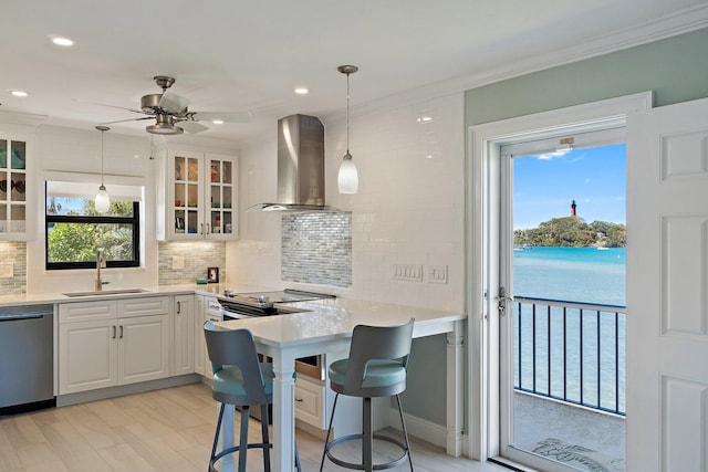 kitchen featuring glass insert cabinets, wall chimney range hood, tasteful backsplash, a sink, and dishwasher