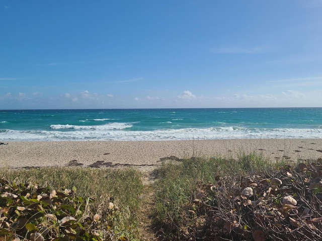 water view with a view of the beach