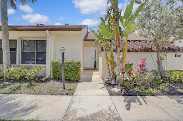 doorway to property featuring stucco siding