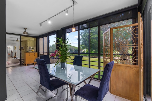 sunroom with rail lighting