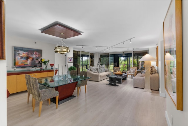 dining area with healthy amount of natural light, track lighting, a chandelier, and light wood-type flooring