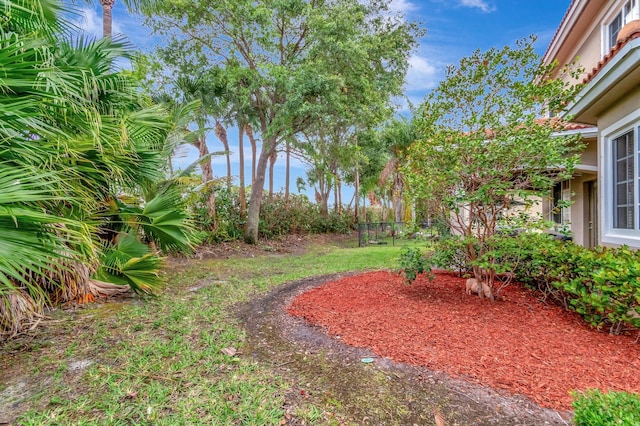 6805 Osage Cir, Greenacres, FL 33413 - view of yard