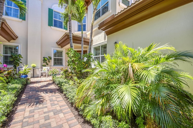179 Tresana Blvd Unit 145, Jupiter, FL 33478 - property entrance featuring stucco siding