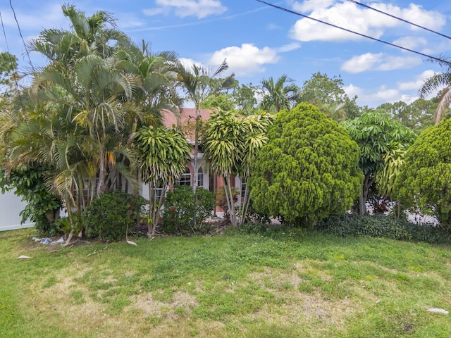 view of yard
