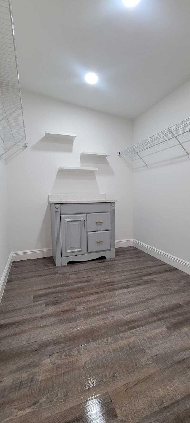 walk in closet with dark wood-style flooring