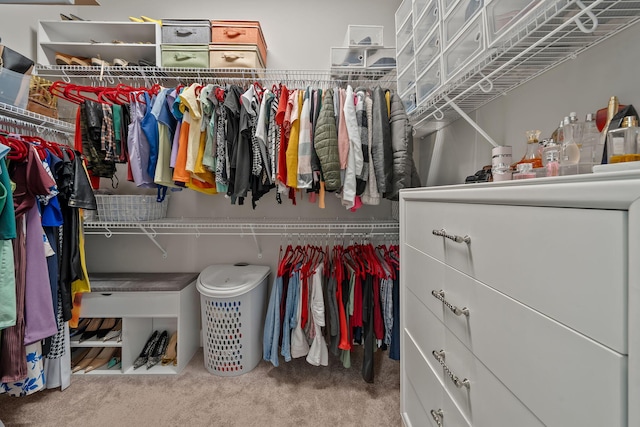 5651 Macoon Way, Westlake, FL 33470 - walk in closet with carpet floors