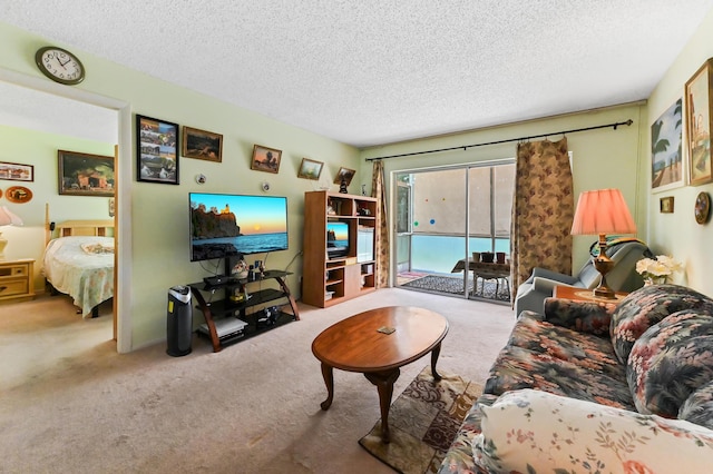 carpeted living area featuring a textured ceiling