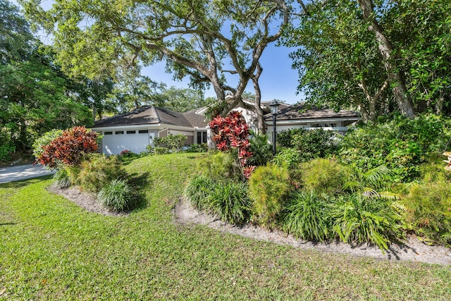 view of front facade featuring a front yard