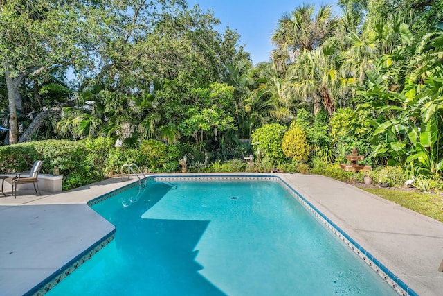 pool with a patio area